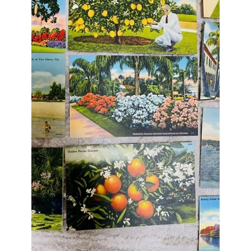 Tichnor Curteich Linen Post Cards Palm Beach Biltmore Lot of 16